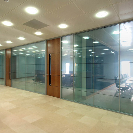 Partition door
