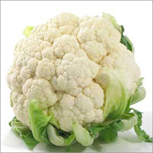 गोभी