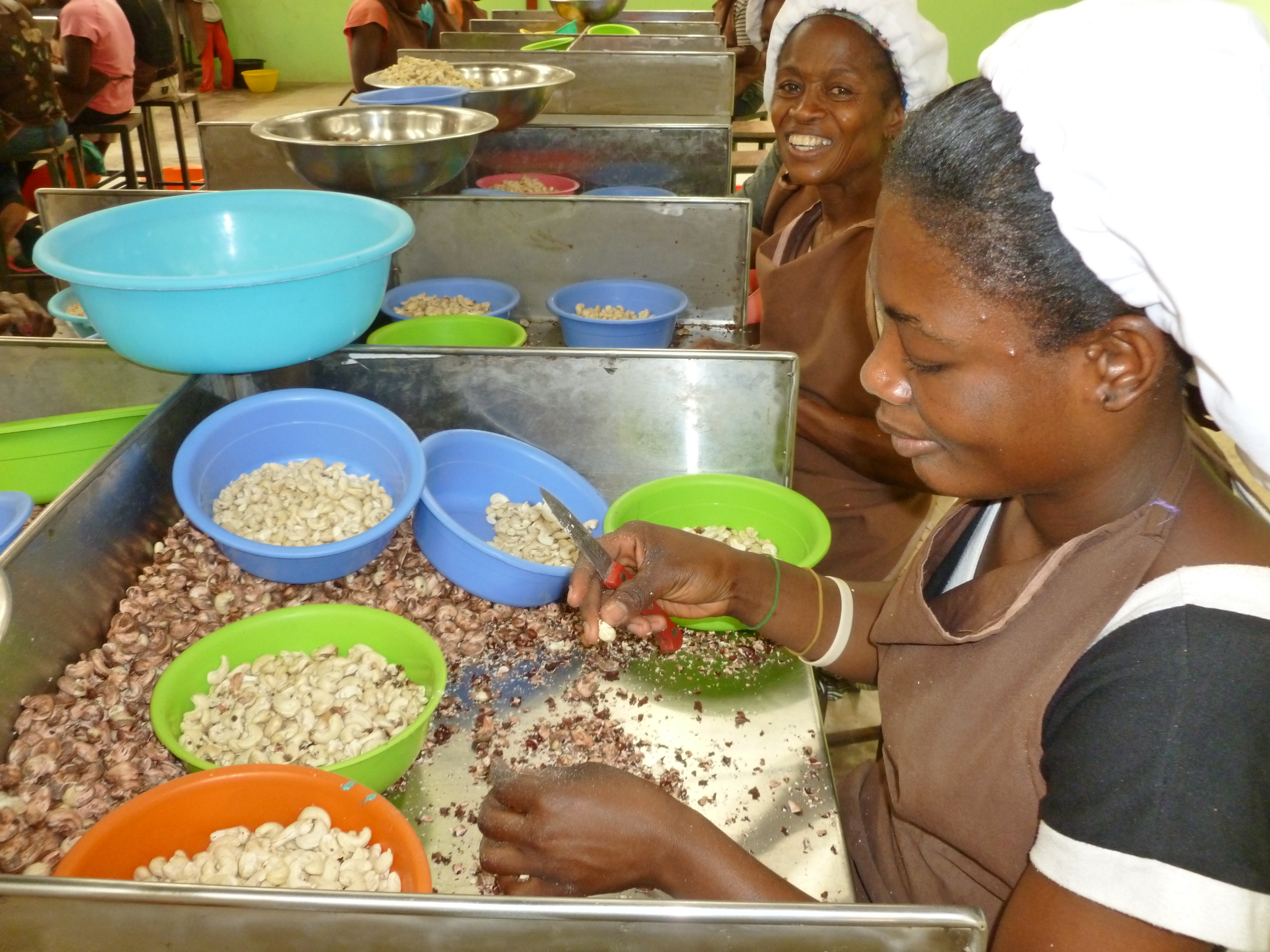 Blue Automatic Cashew Processing Plant - 1 Ton/day