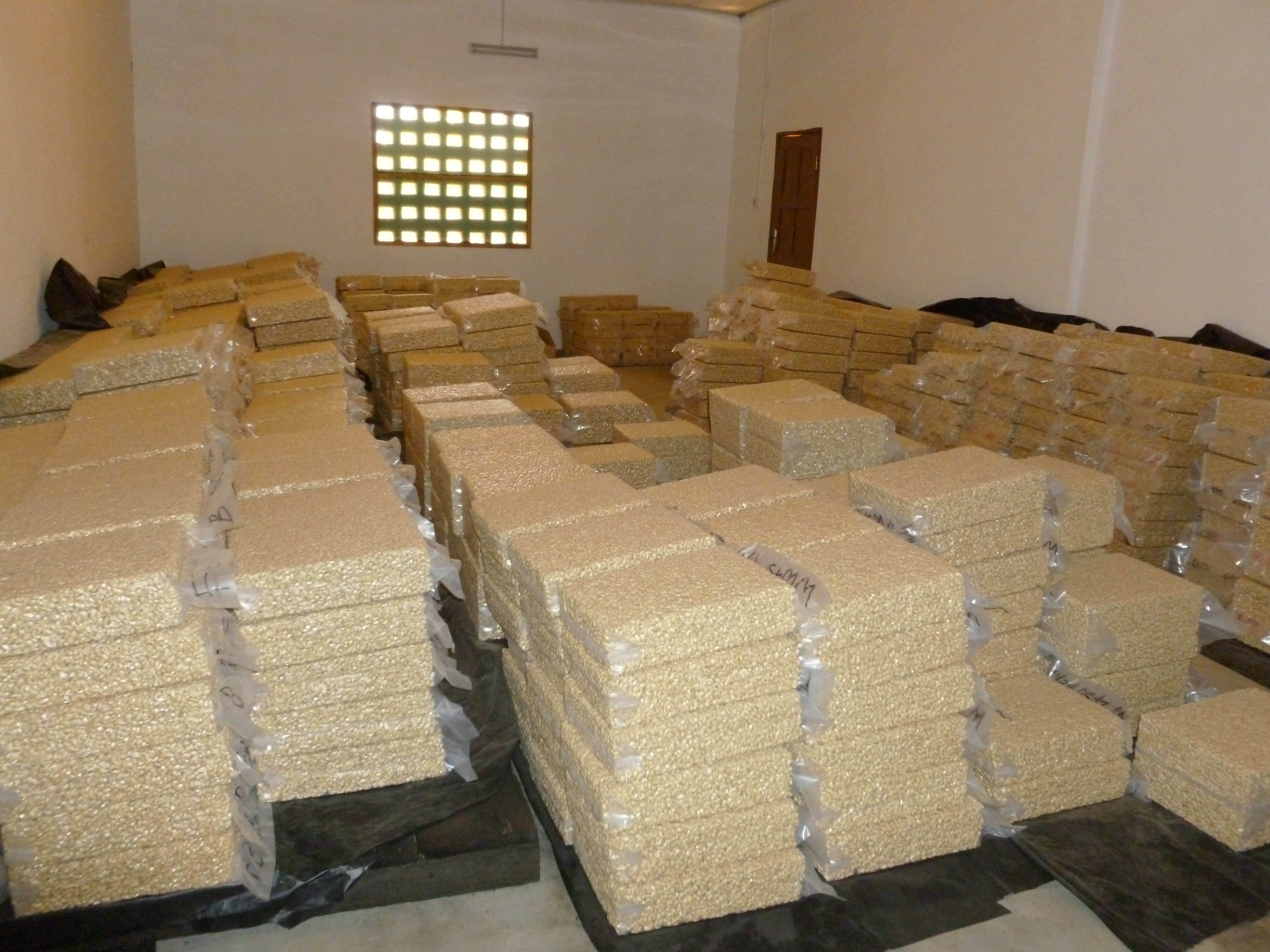 Blue Automatic Cashew Processing Plant - 1 Ton/day