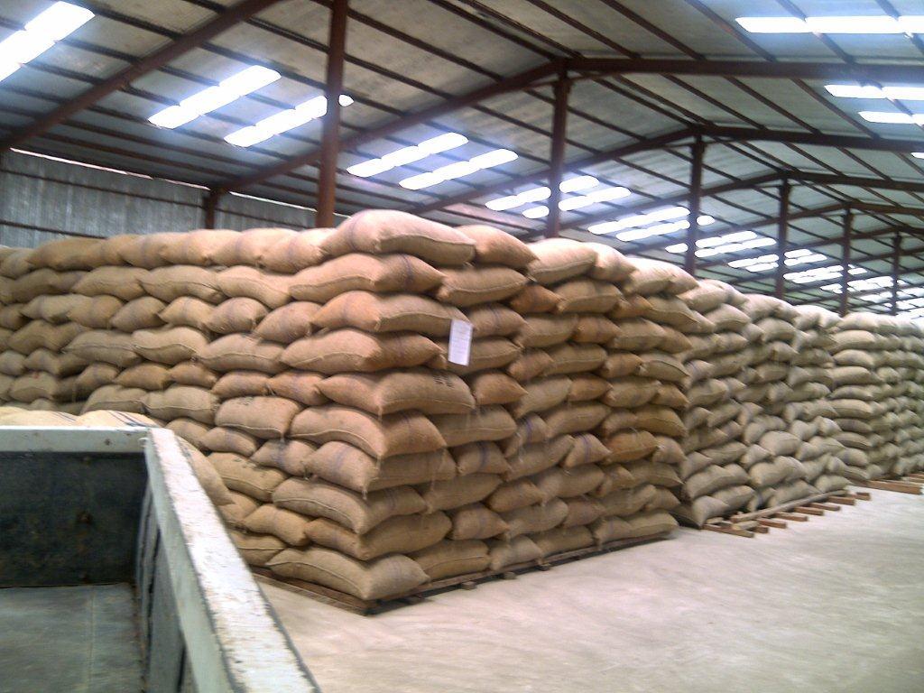 Blue Automatic Cashew Processing Plant - 1 Ton/day