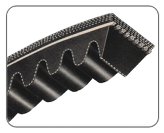 Cogged V Belts - Rubber, Customized Length, Black | Oil and Heat Resistant, Static Conductive, Match Set Free Range AX BX CX 3VX 5VX XPA XPB XPC SPZ SPA SPB SPC
