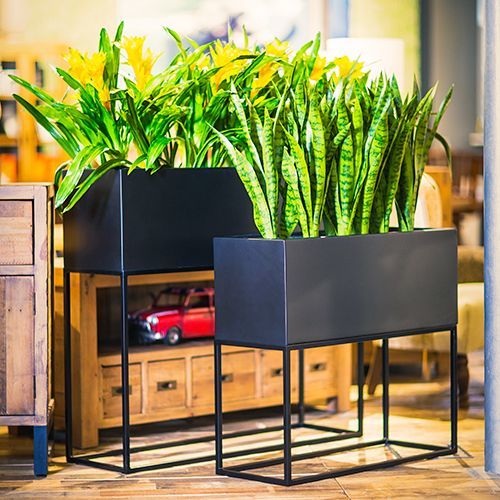 Brass Planter / Iron Planter