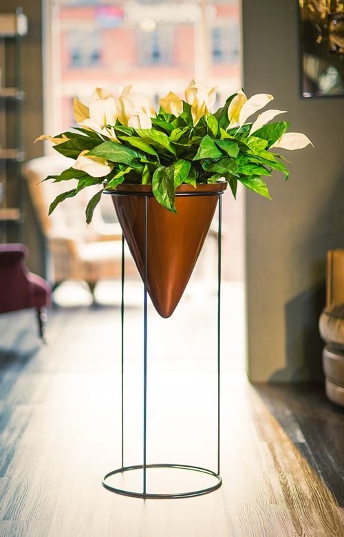 Brass Planter / Iron Planter