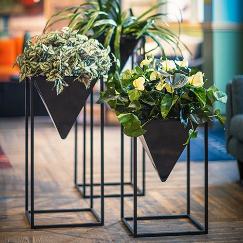 Brass Planter / Iron Planter