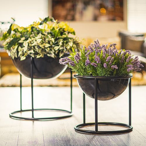 Brass Planter / Iron Planter