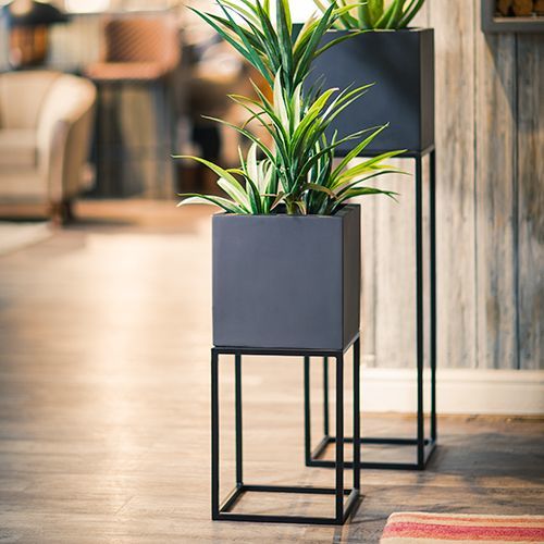 Brass Planter / Iron Planter