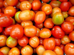Fresh Tomato