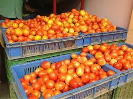 Fresh Tomato
