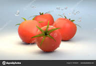 Fresh Tomato