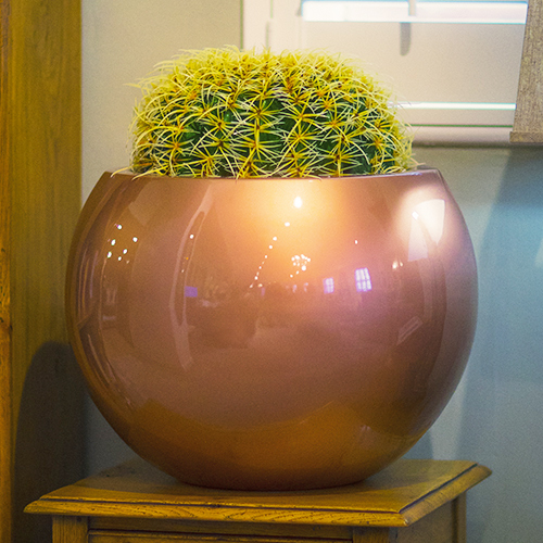 Iron Planter / Gold Finish Planter / Iron Planter