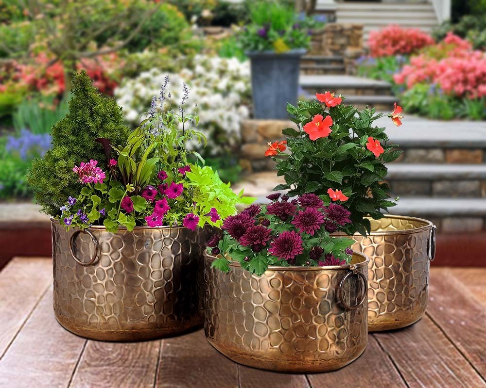 Iron Planter / Gold Finish Planter / Iron Planter
