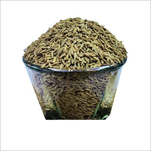 जीरे के बीज