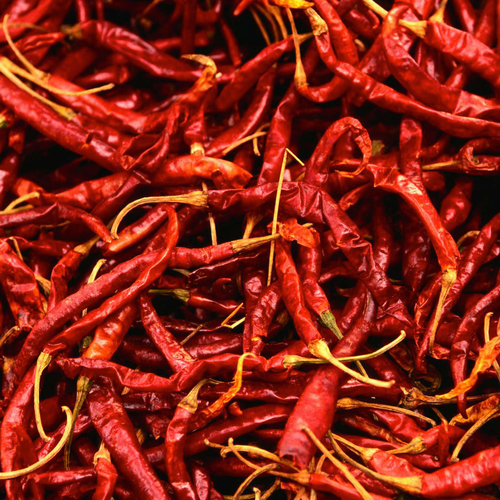 Red Chilli