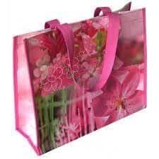 Offset Print Non Woven Bag