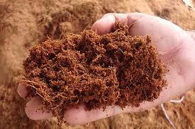 Coco Peat