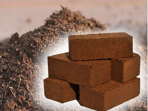 कोको पीट ब्रिकेट्स