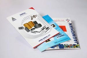 Brochure Printing Services - Full Color, Single/double Sided, Custom Size | Fast Production, Quick Shipping, Customizable Options, Effective Marketing