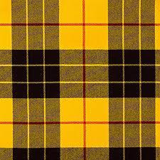 Scottish Check Fabric