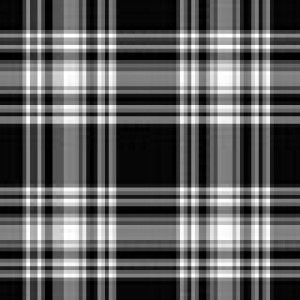 Scottish Check Fabric
