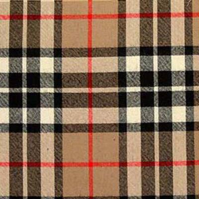 Scottish Check Fabric