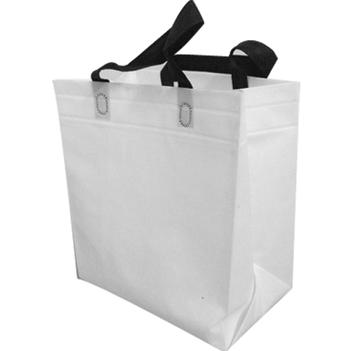 Non Woven Shopping Bag