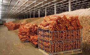 Onion Cold Storage - 440V Voltage, 10 MT to 40000 MT Capacity | Semi-Automatic & Fully Automatic, Pest-Proof Design