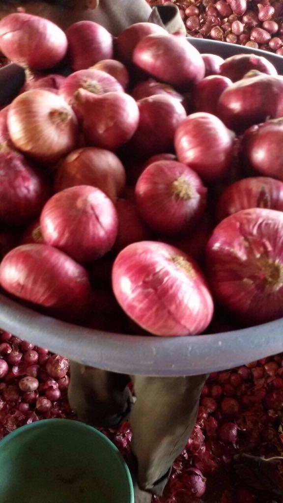 Red Pink Golden Fresh Onion