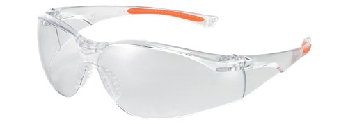 Univet Goggles