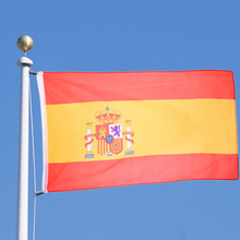 Printed National Stick Flag
