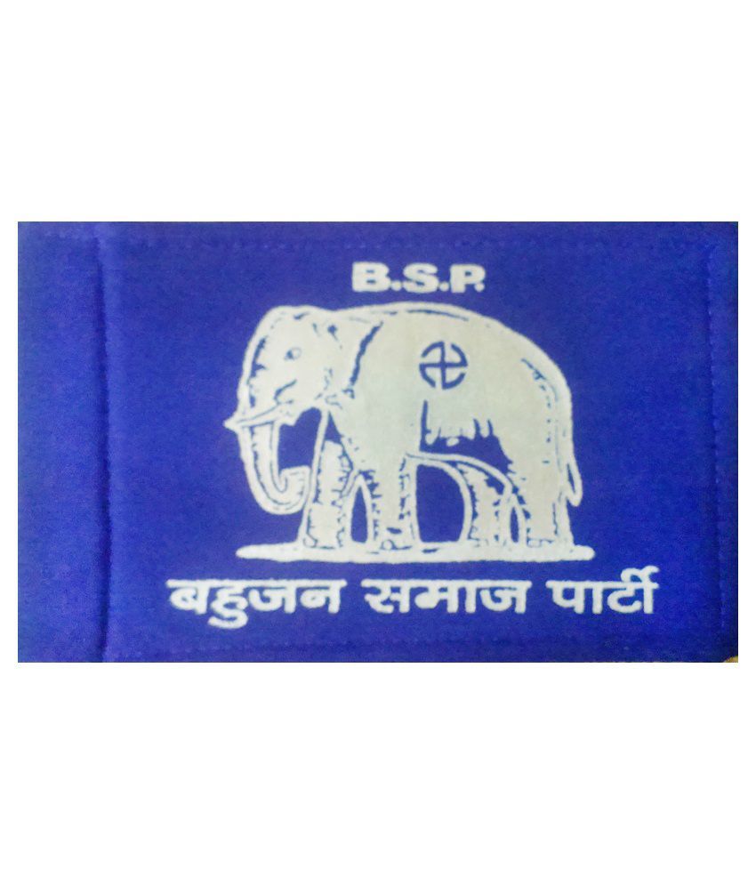 Silk Bsp Election Flags