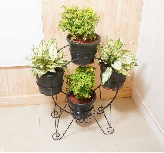 Black Iron Planter Stand