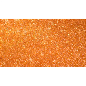 Anion Resins