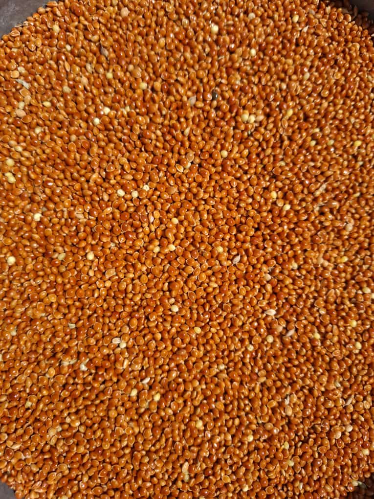 तीसरी श्रेणी का बाजरा