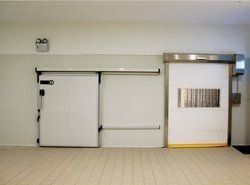 Hinged Cold Storage Door