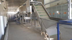 Grading Machine - Stainless Steel, 1.5 Hp Motor Power | Adjustable Conveyor Speed, Durable Build, Long Lasting Service Life, User Friendly Operation