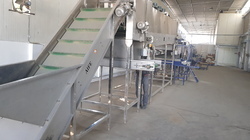 Grading Machine - Stainless Steel, 1.5 Hp Motor Power | Adjustable Conveyor Speed, Durable Build, Long Lasting Service Life, User Friendly Operation