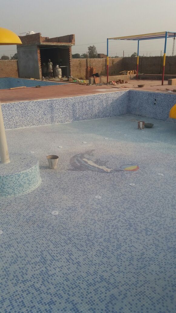 Swimming Pool Construction Contractor