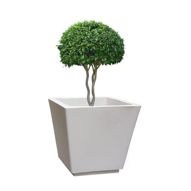 Fox Square Pot - Plastic, 12x14 Inches, Cream And Green | Elegant Design For Balcony, Front Door, Living Area, Easy Maintenance