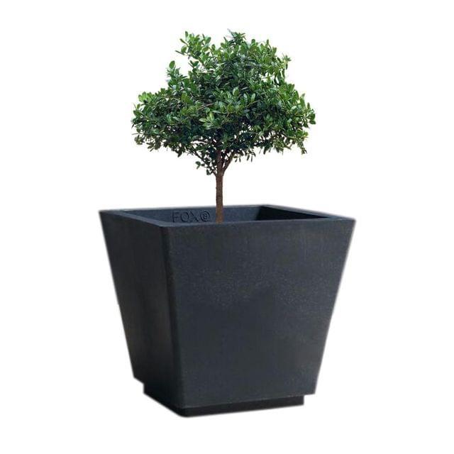 Fox Square Pot - Plastic, 12x14 Inches, Cream And Green | Elegant Design For Balcony, Front Door, Living Area, Easy Maintenance