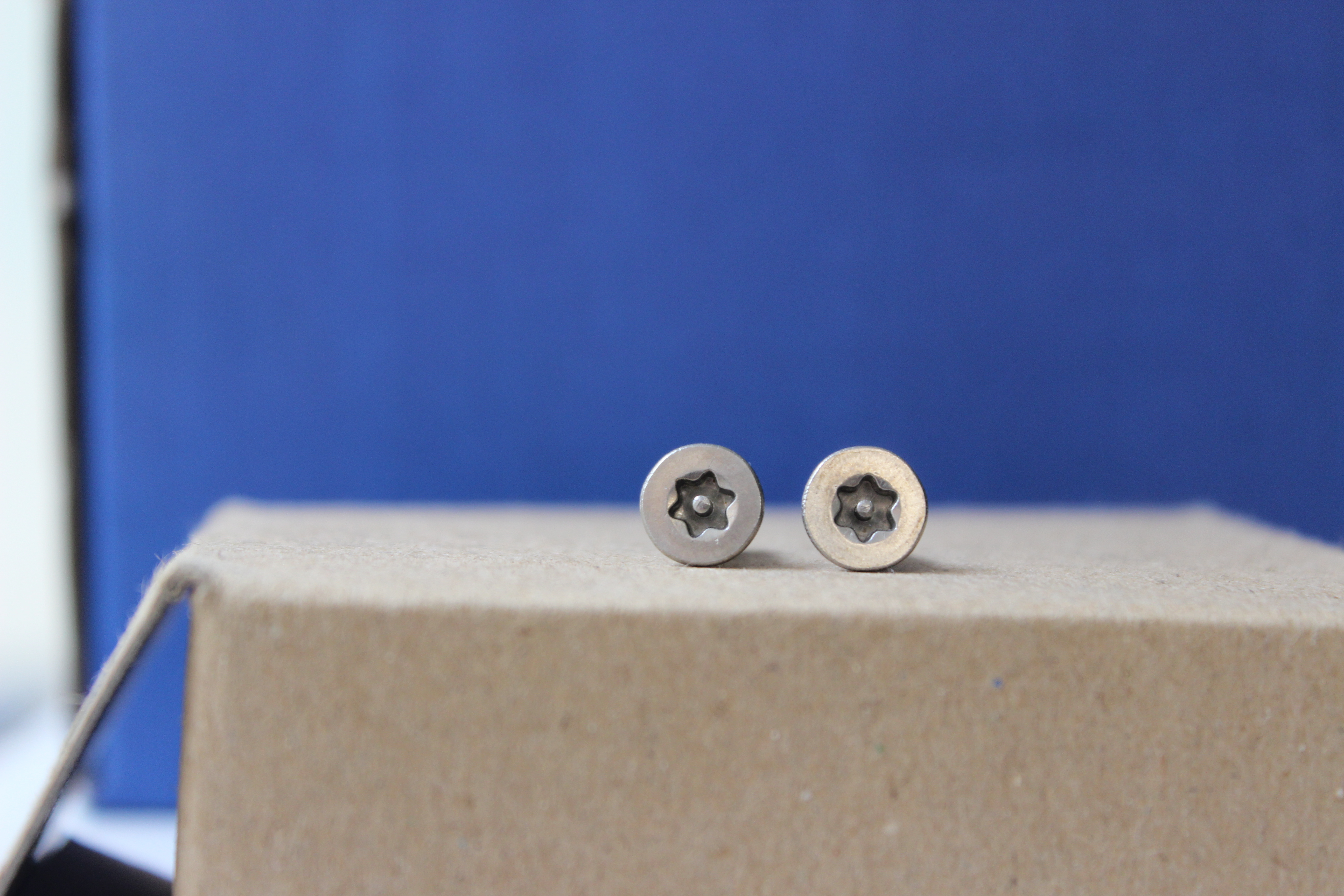 Stainless Steel Pin Torx Security Screw Csk Ss 304