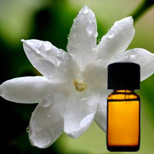 Jasmine Grandiflorum Floral Absolute Oil Odour:: Strong