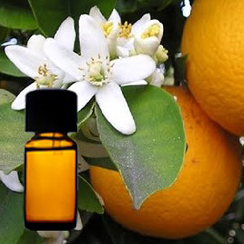 Orange Blossom Flower Oil Odour:: Strong