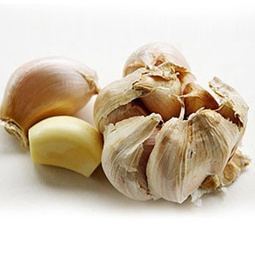 Garlic Roasted Oleoresins