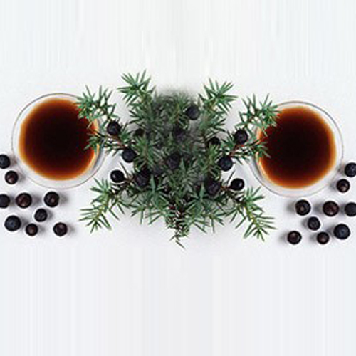 Cade Essential Oil Cas No: 90046-02-9