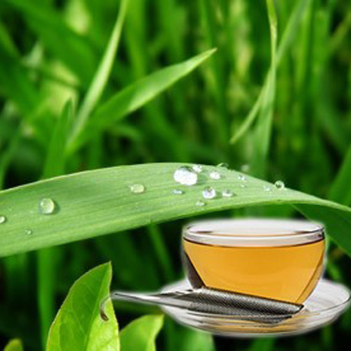 Davana Essential Oil Age Group: Infants