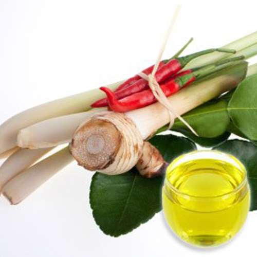 Galangal Essential Oil Odour:: Strong
