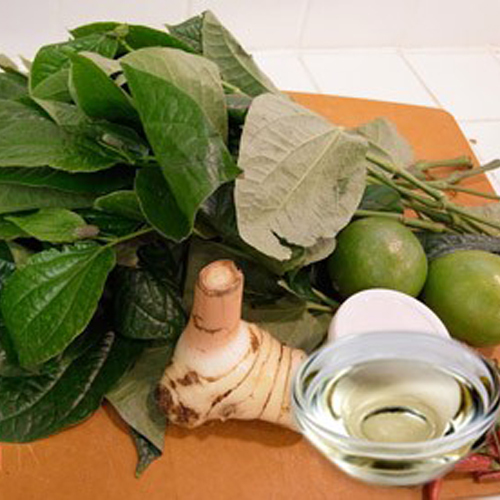 Galangal Essential Oil Odour:: Strong