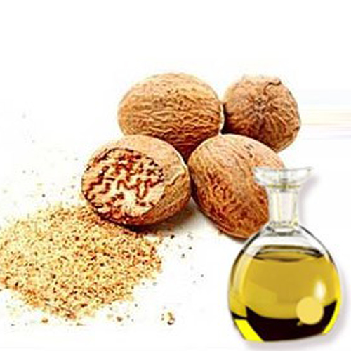 Mace Essential Oil Odour:: Strong