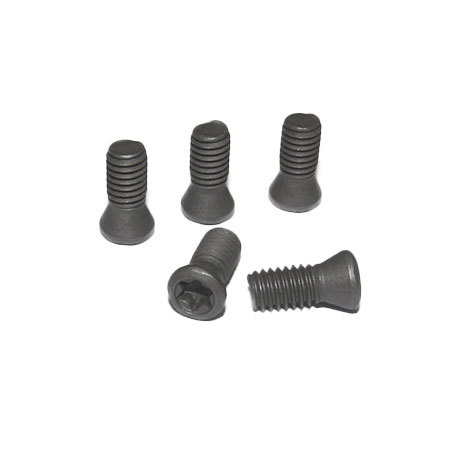 फ्लैट हेड टॉर्क्स स्क्रू